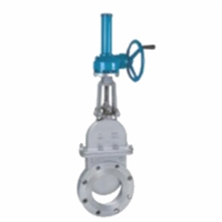 伞齿轮传动带阀盖刀闸阀